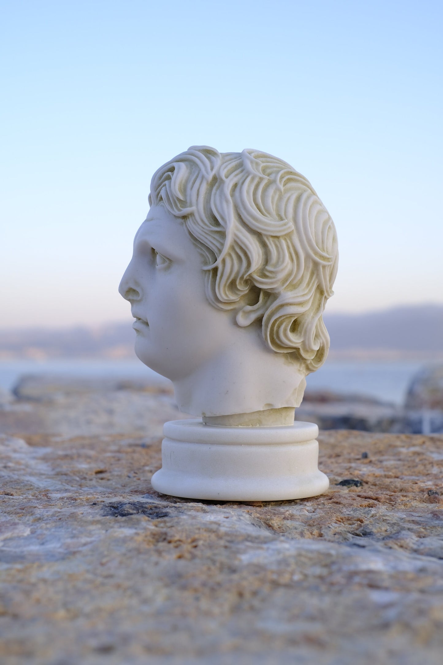 Alexander The Great Premium Bust