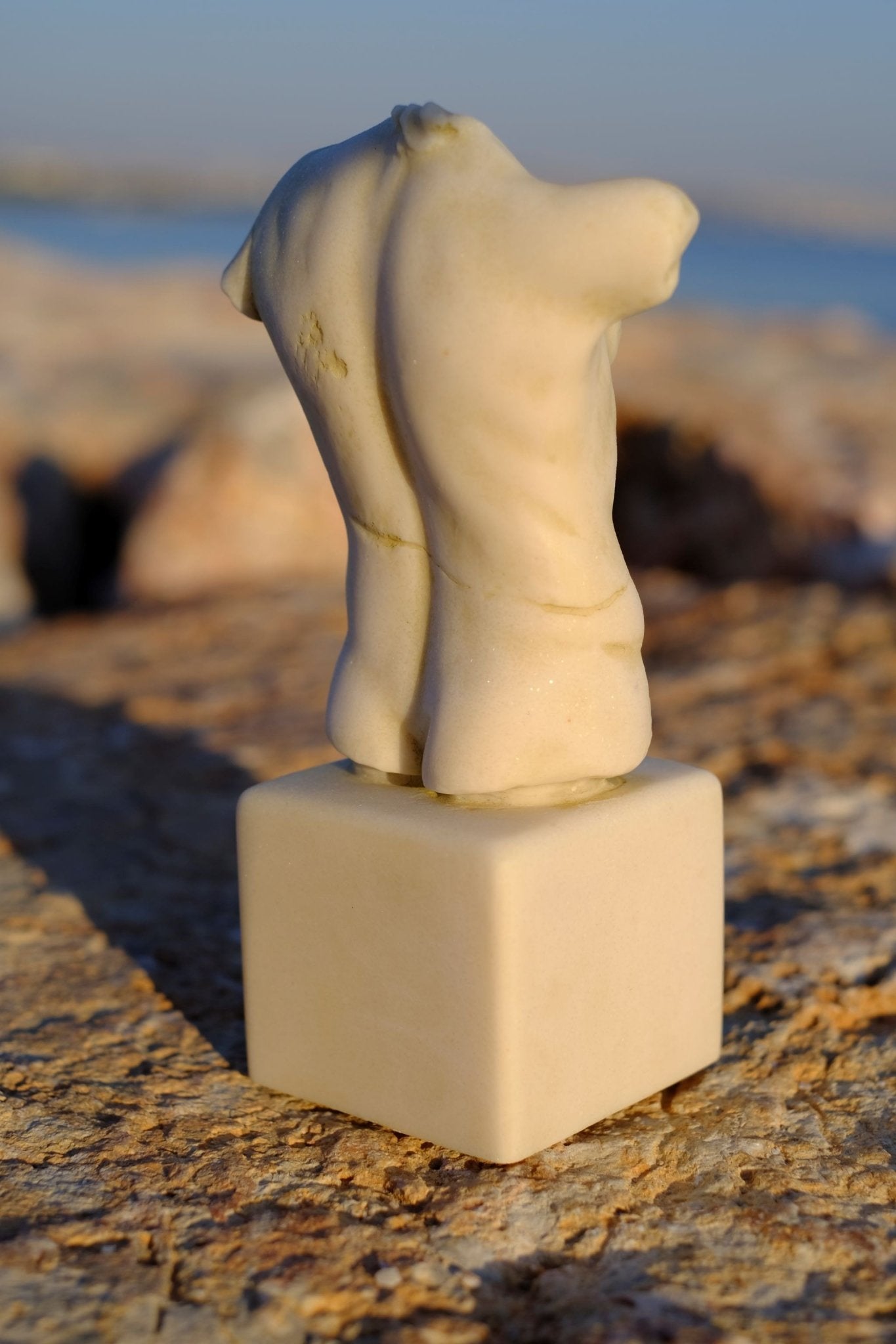 MALE TORSO - Sculpo